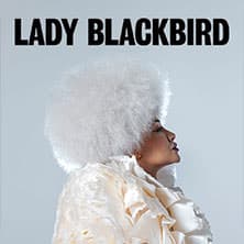 Lady Blackbird